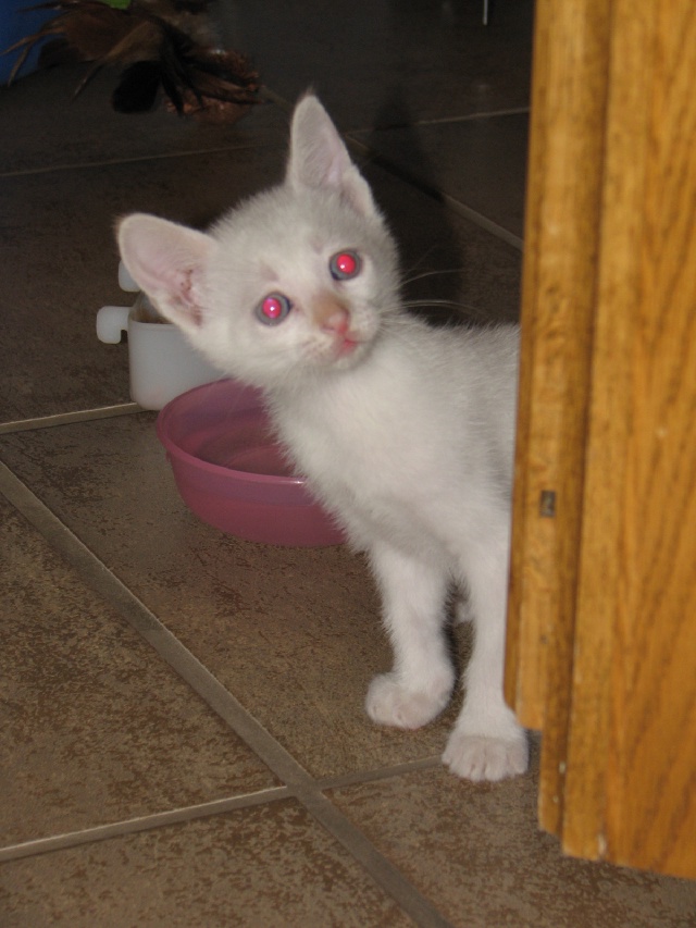20100206 413.JPG